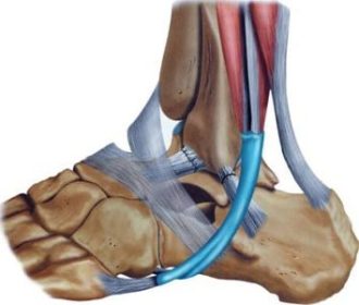 lesioni legamentose 5